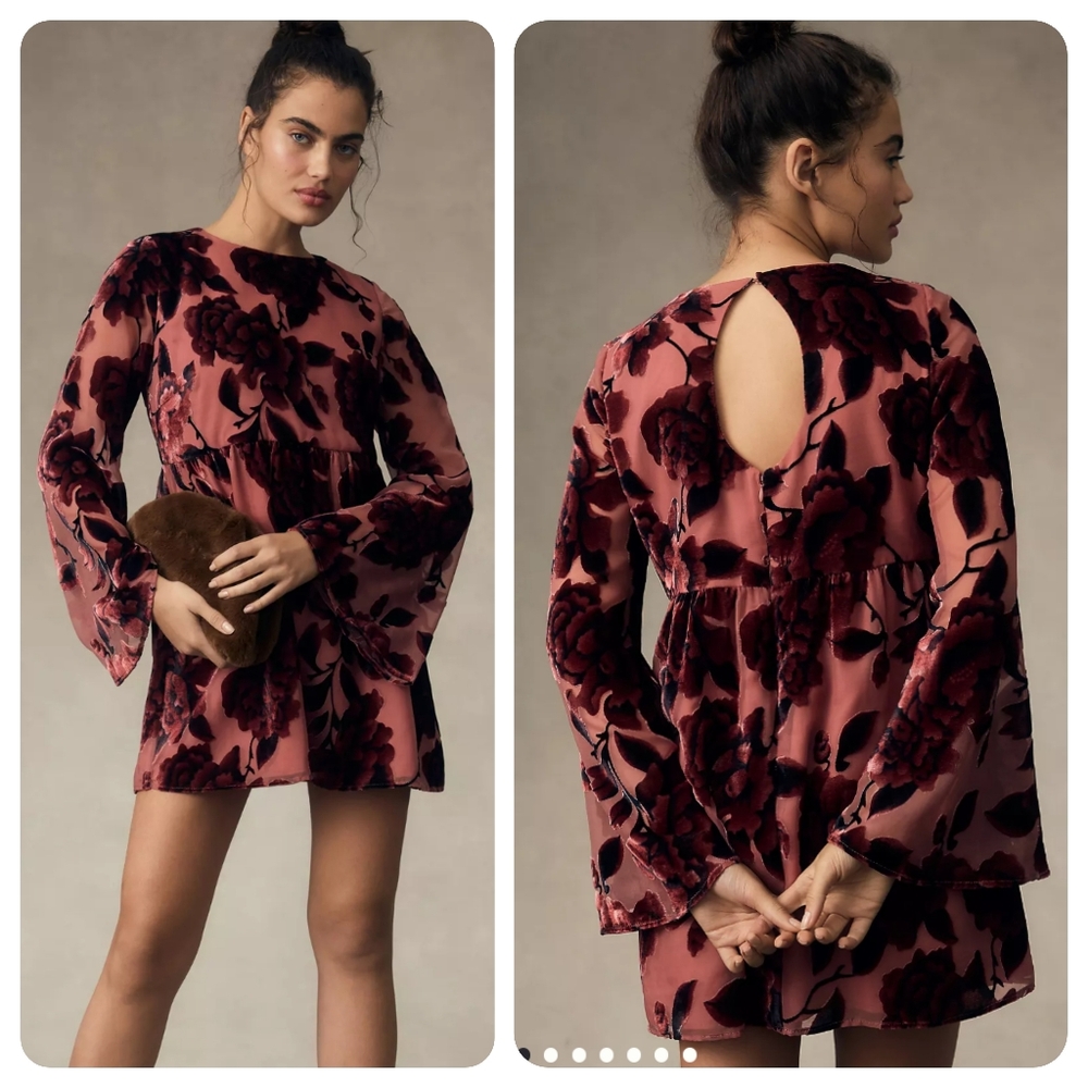 Anthropologie | Hutch Long Sleeve Floral Velvet Mini Dress Dusty Rose Pink M